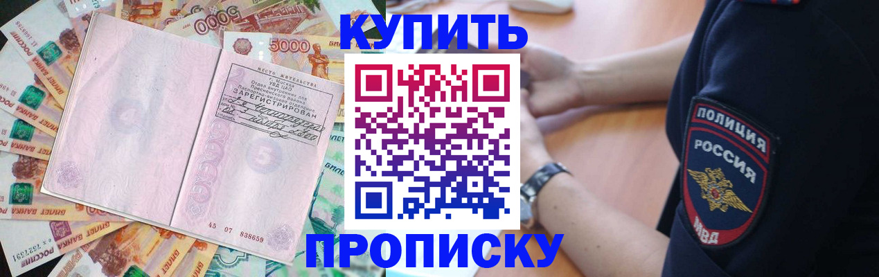 временная регистрация поиск в Железногорске